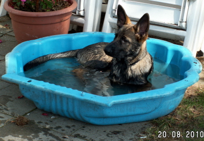 Jurre speelt graag met water.